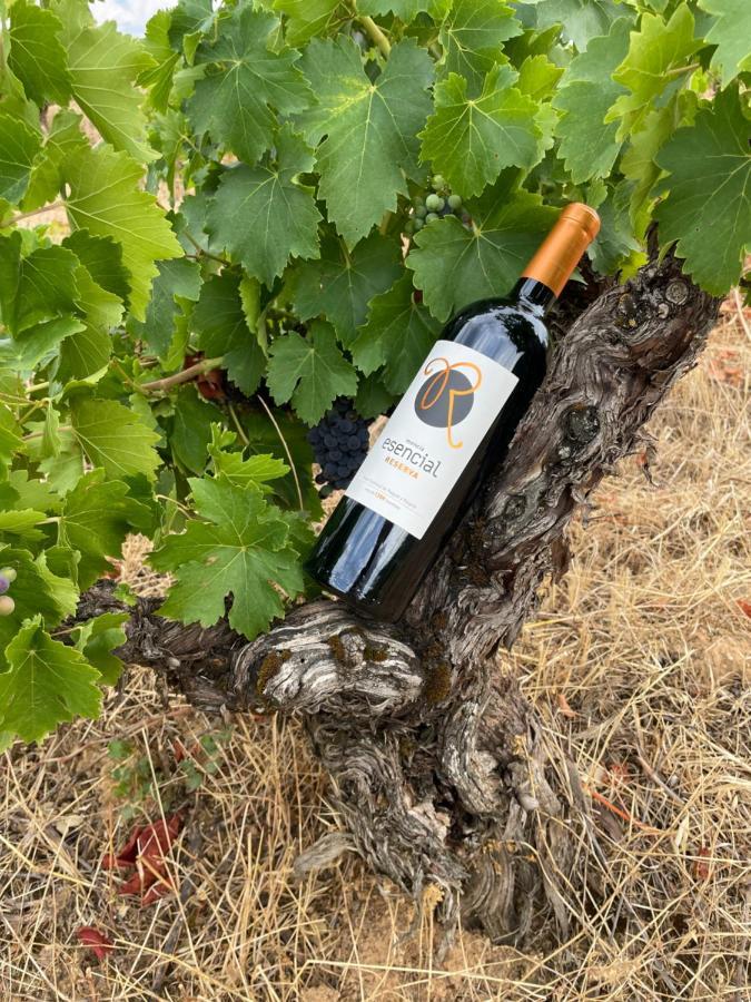 Boutique Finca Esencial Villafranca Del Bierzo Eksteriør billede