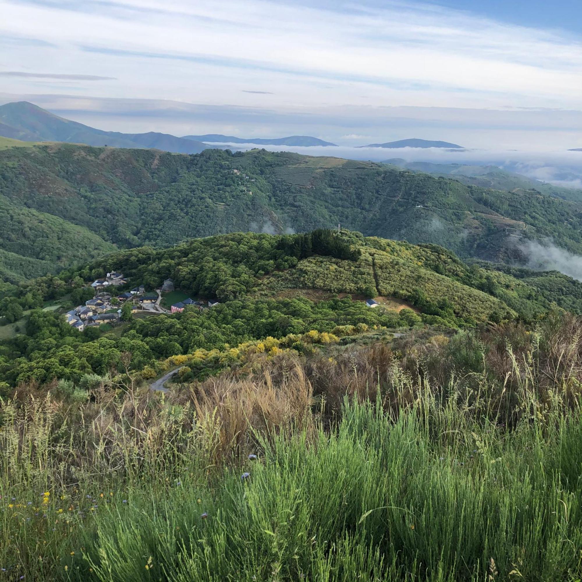 Boutique Finca Esencial Villafranca Del Bierzo Eksteriør billede