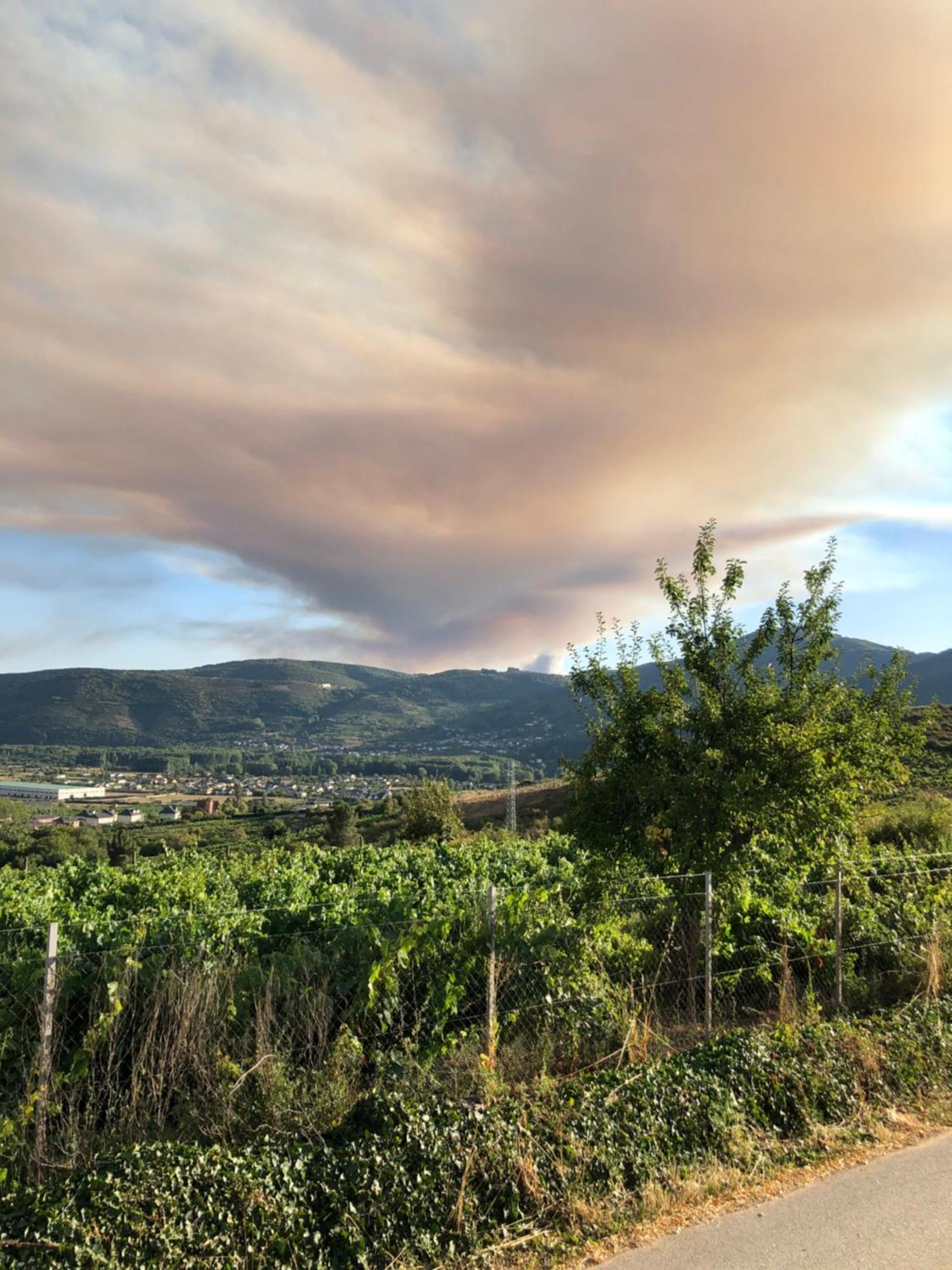 Boutique Finca Esencial Villafranca Del Bierzo Eksteriør billede
