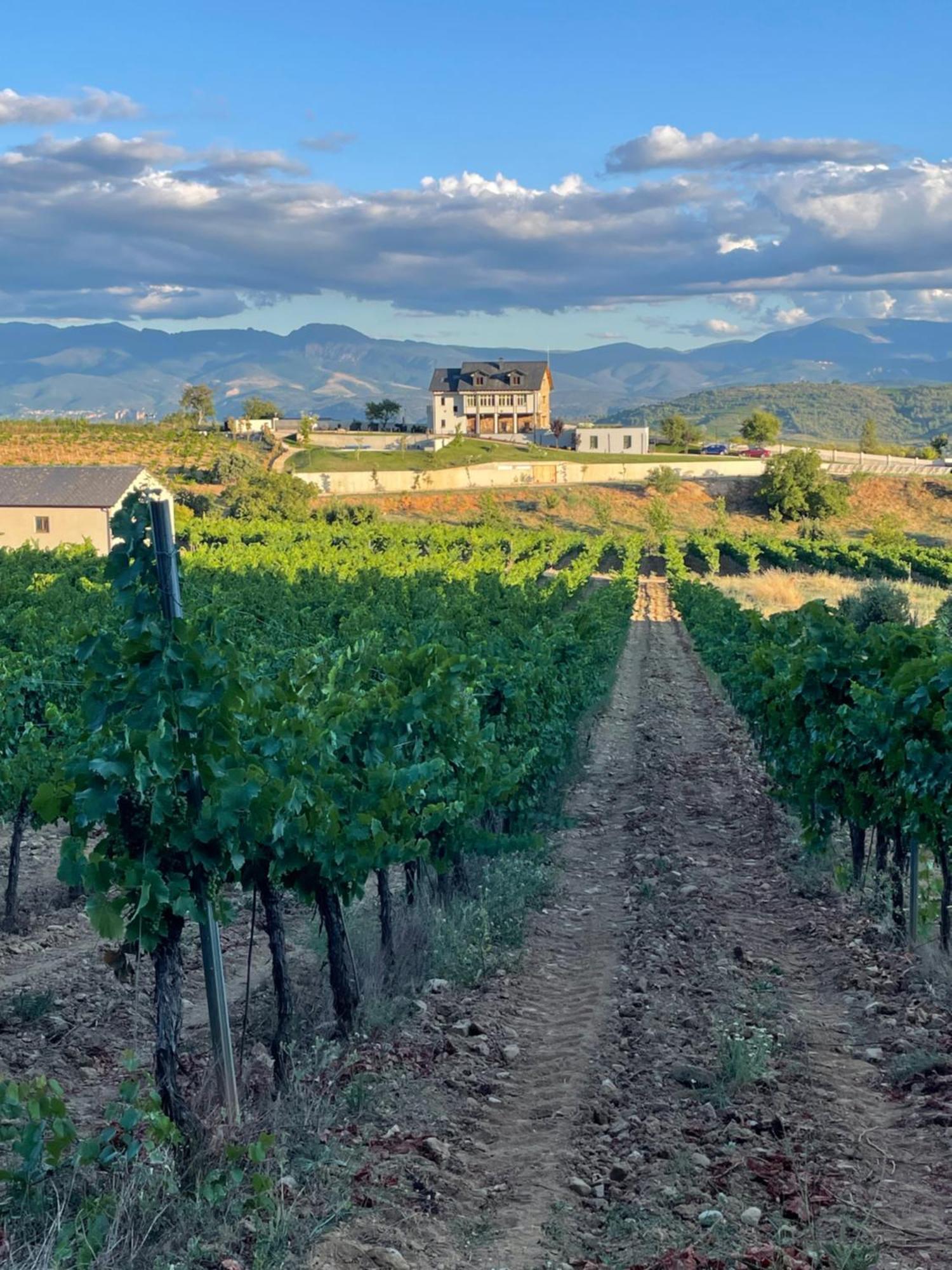 Boutique Finca Esencial Villafranca Del Bierzo Eksteriør billede